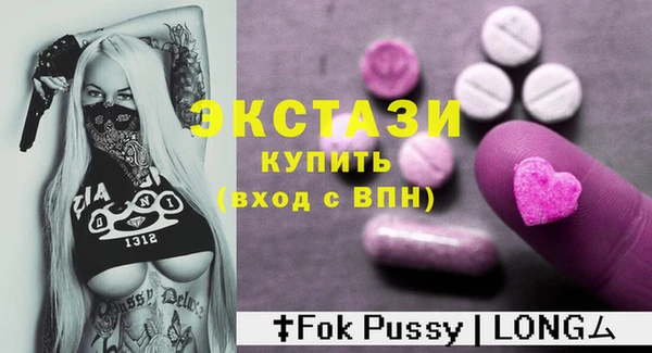 ECSTASY Богородск